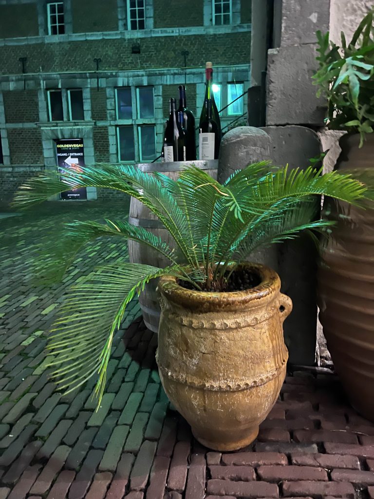 tamegroute bloempot Marokkaans aardewerk